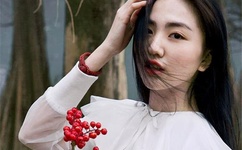 成年黄页网站大全免费